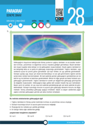 2024 - LGS - Paragraf Branş Deneme - 28